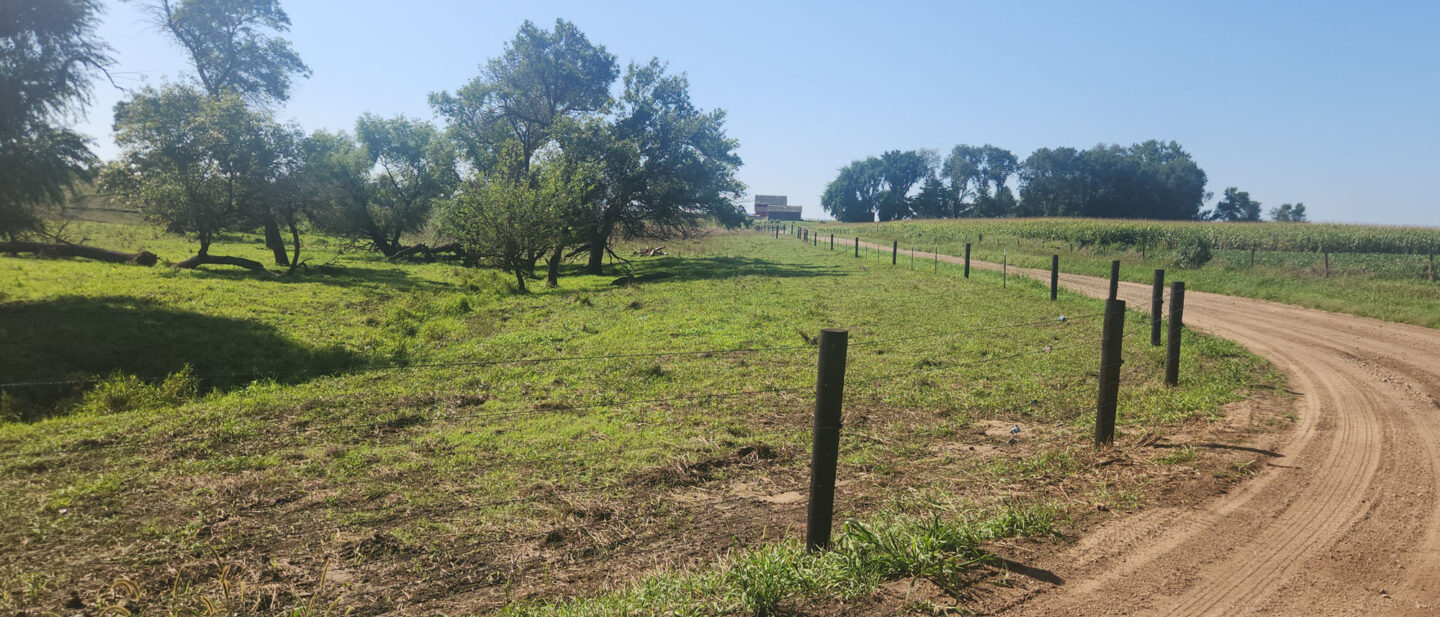 New pasture fence along driveway