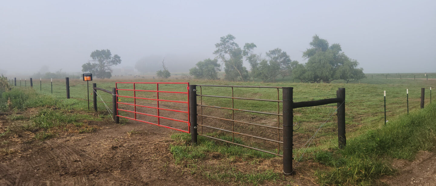 New pasture fence