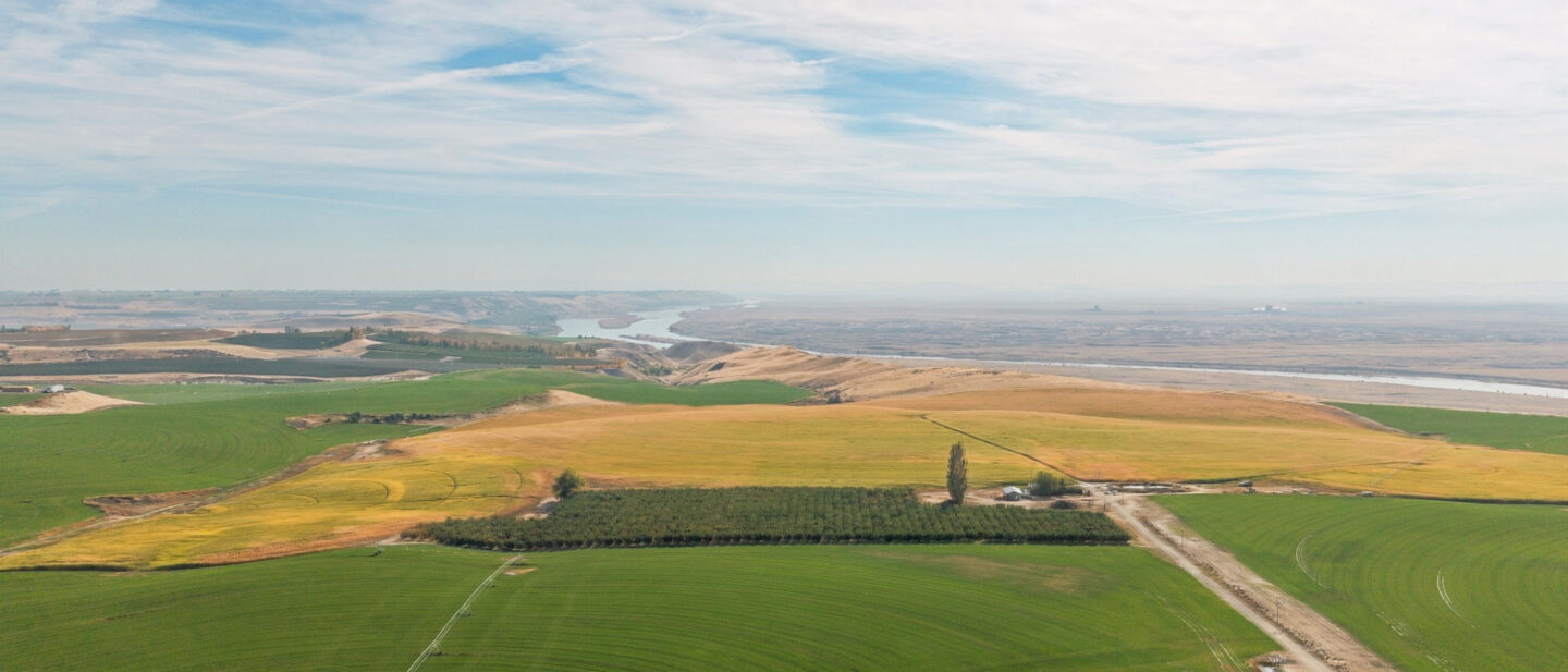 North Side Property Cherry Orchard