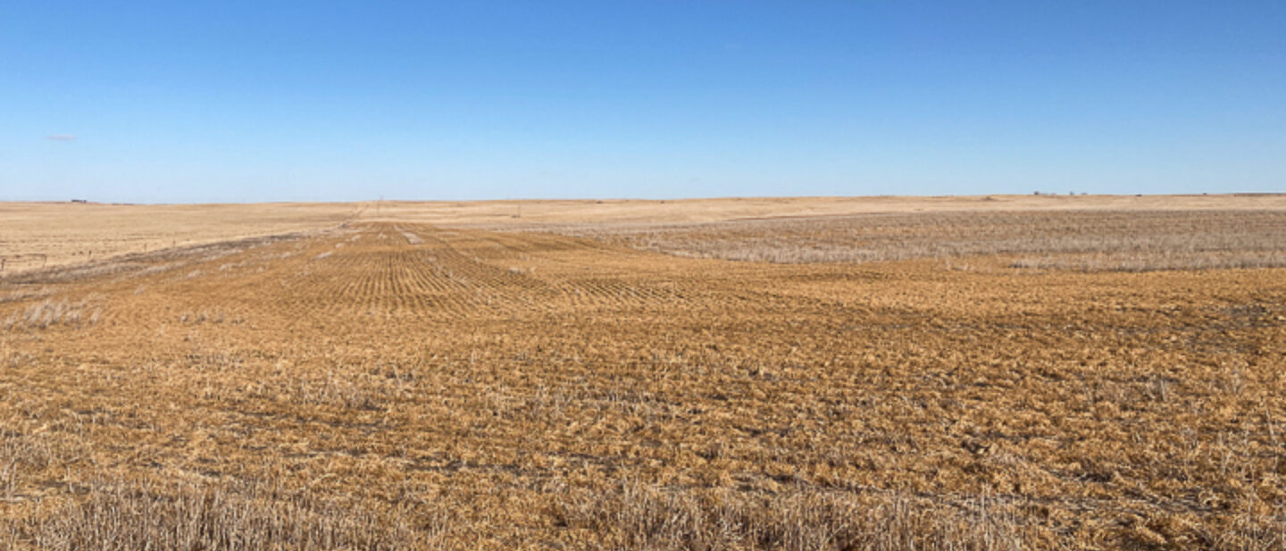 North View of Farmland