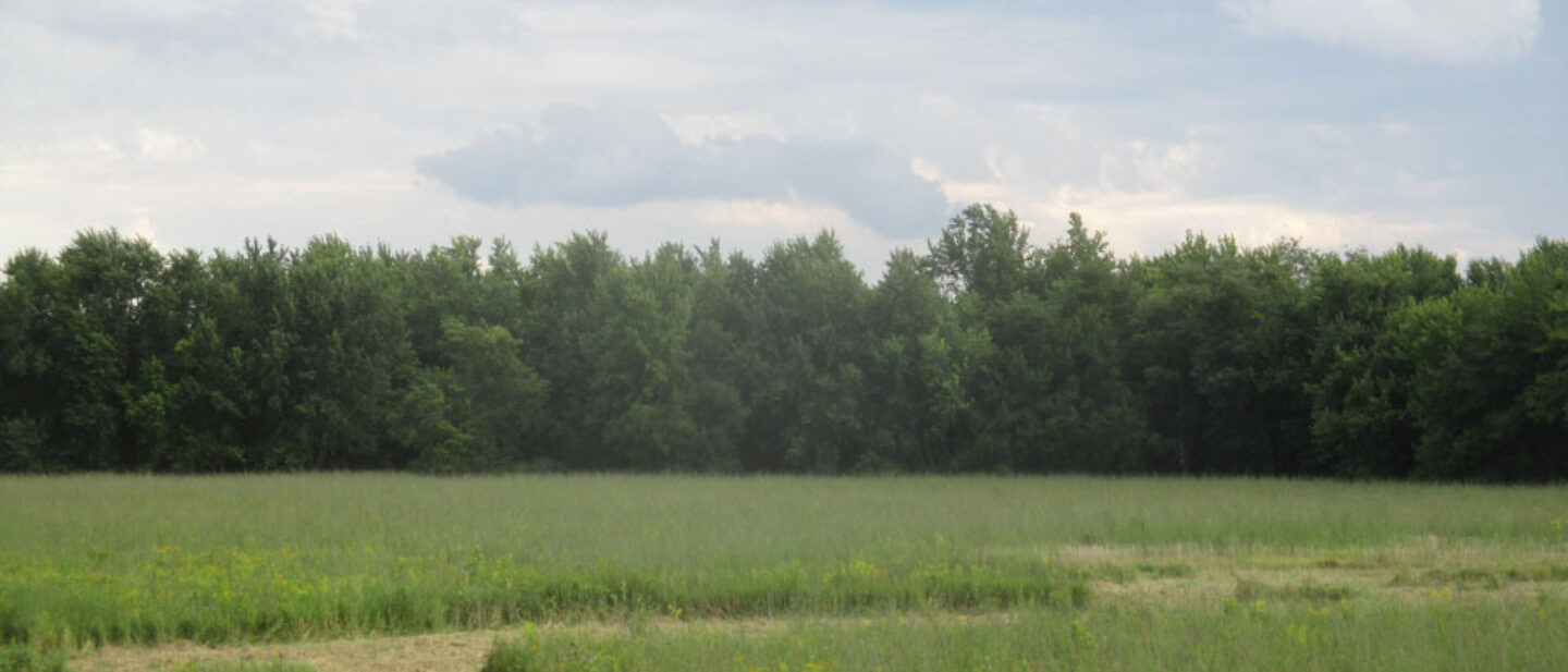 North field of CRP open to 120th street