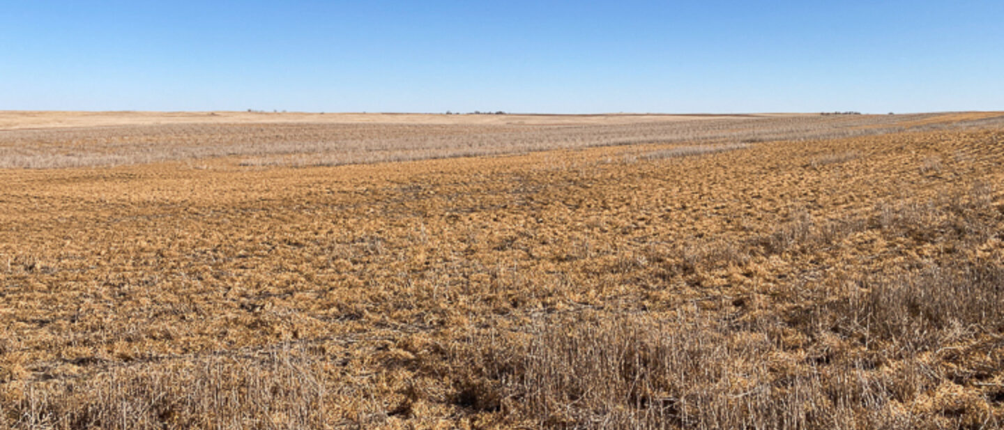 Northwest View of Farmland