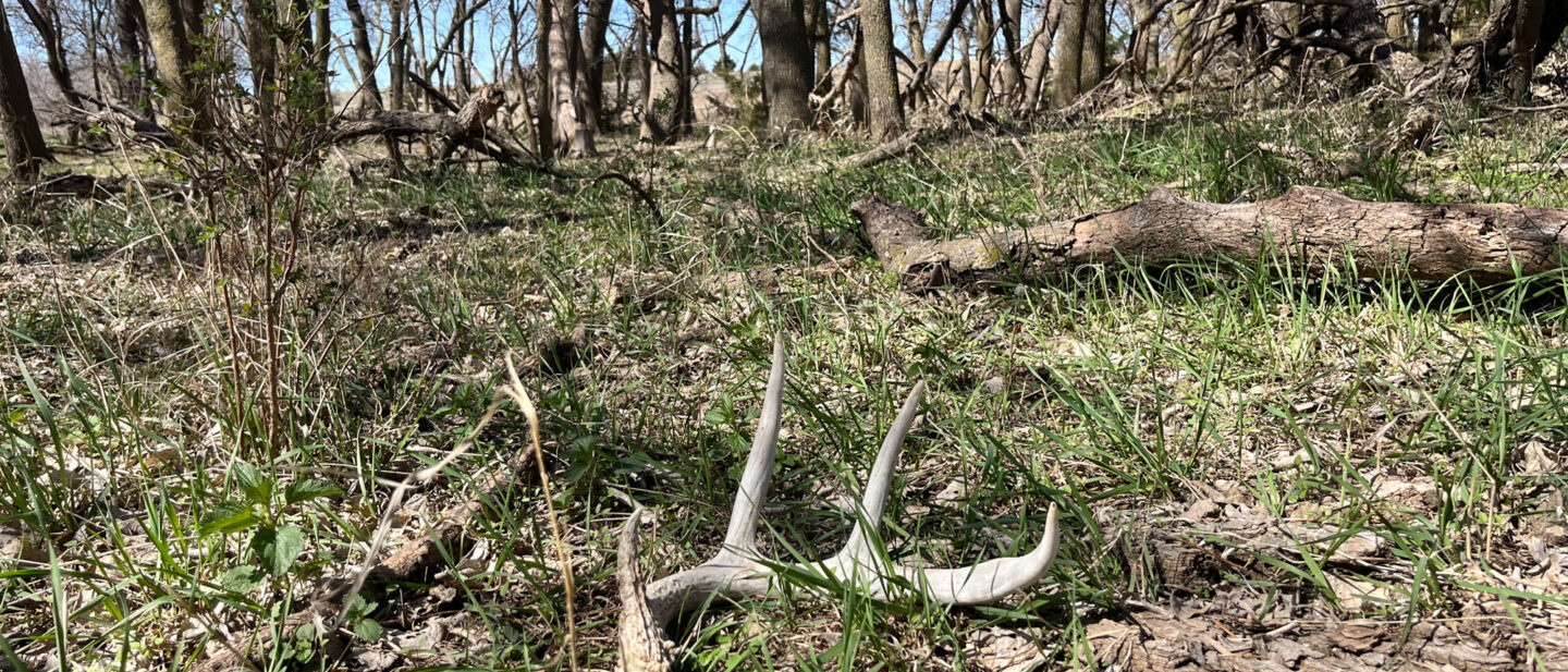Online Photo Derek Freel Smith County Ks L 2500279 2
