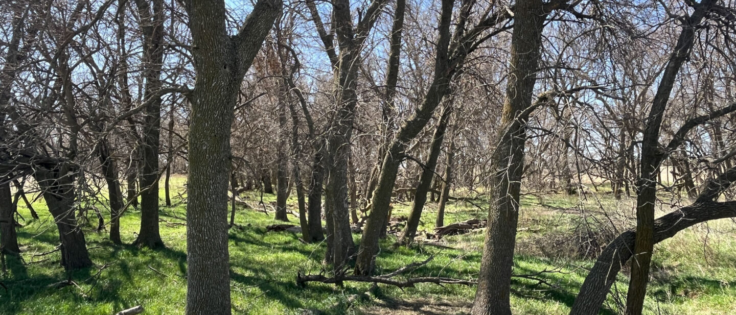 Online Photo Derek Freel Smith County Ks L 2500279 3