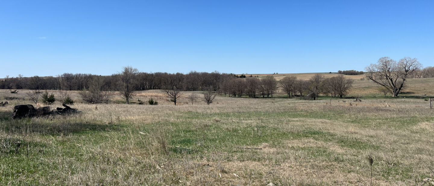 Online Photo Derek Freel Smith County Ks L 2500279 6