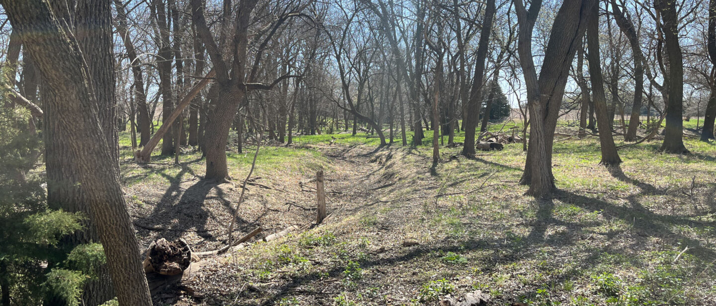 Online Photo Derek Freel Smith County Ks L 2500279