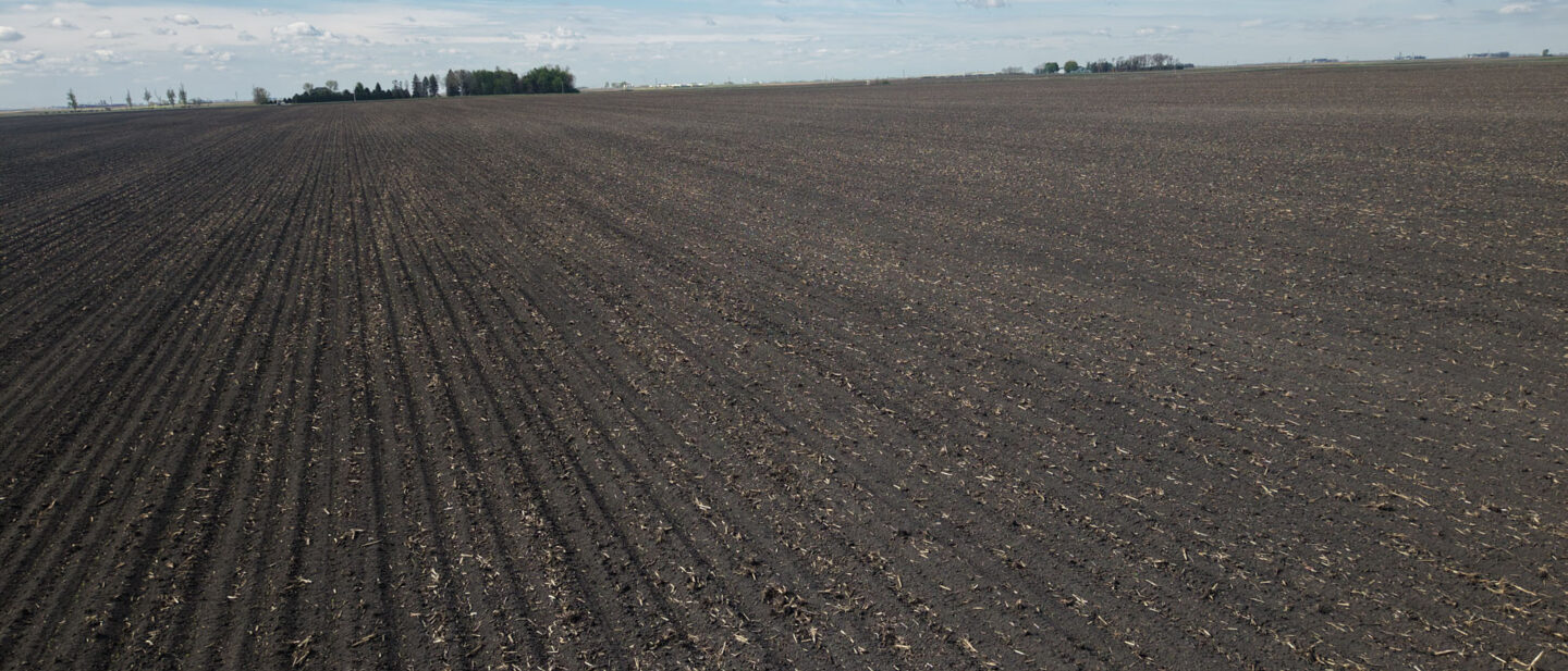 Open farmland view in Wright County Iowa