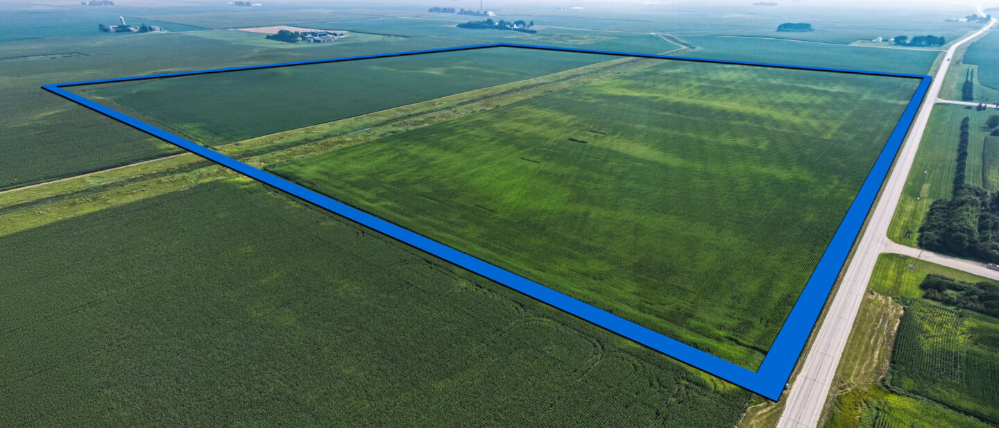 Panorama 5 BORDER WEB