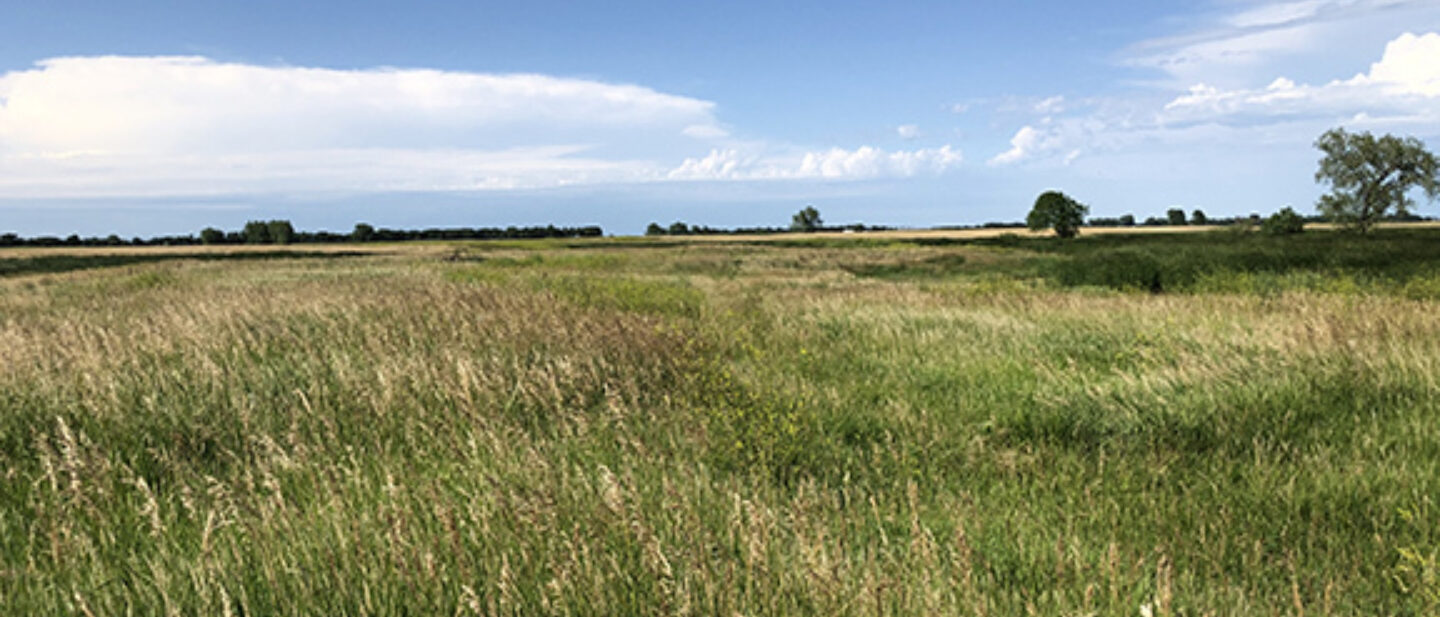 Pasture Photo