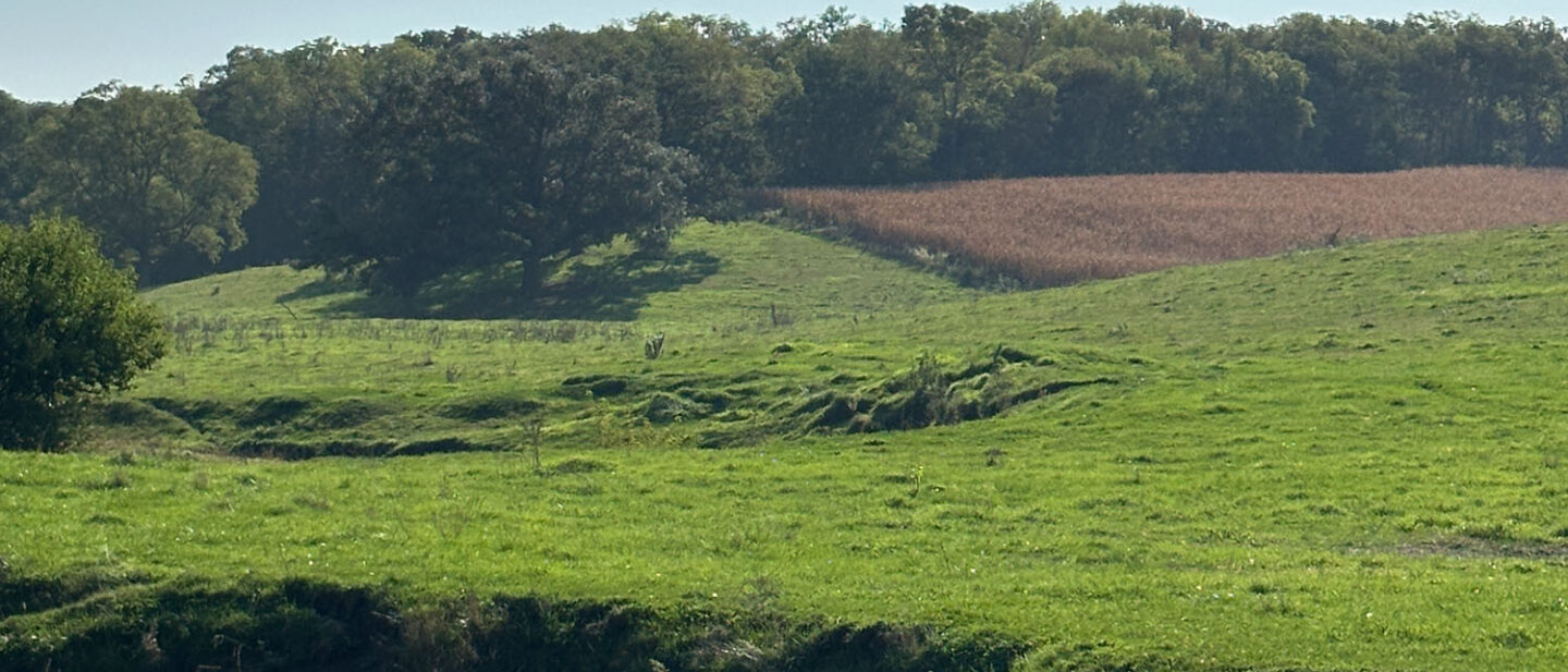 Pasture Tract 1