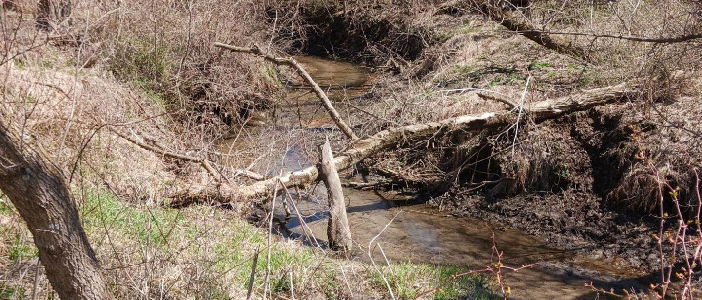 Picture 2 Creek