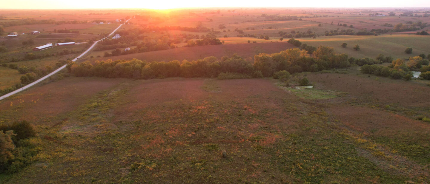 Picture L 2500577 4