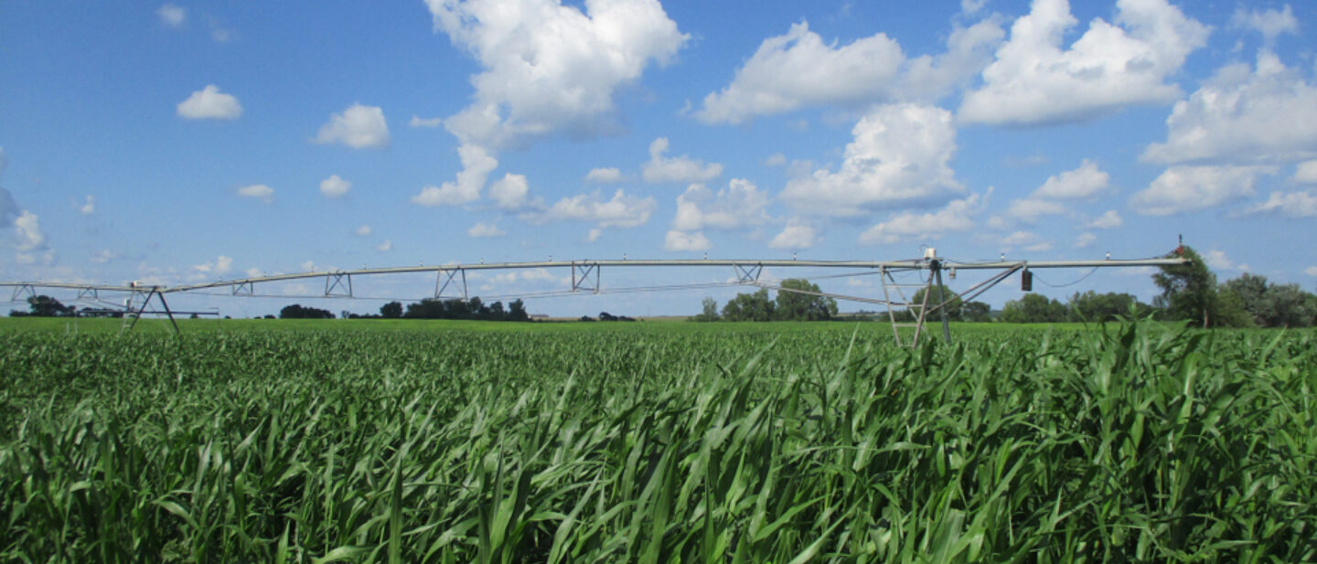 Pivot photo