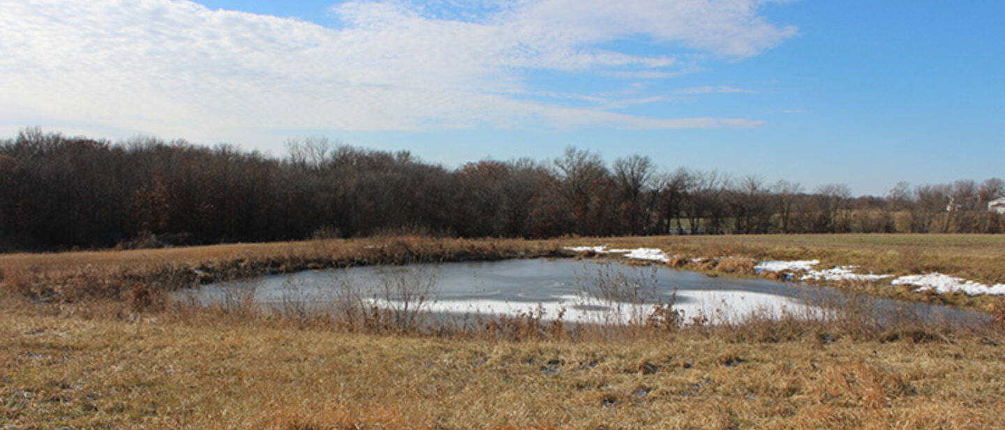 Pond on North End of Farm