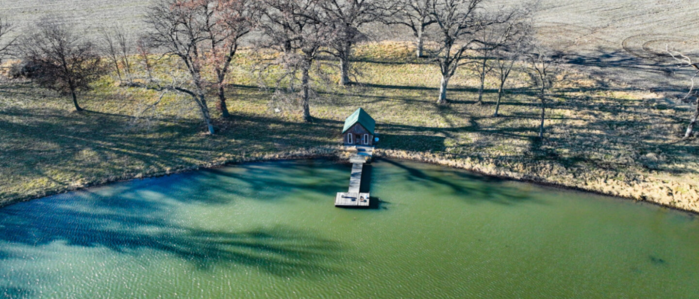 Pond sheddock