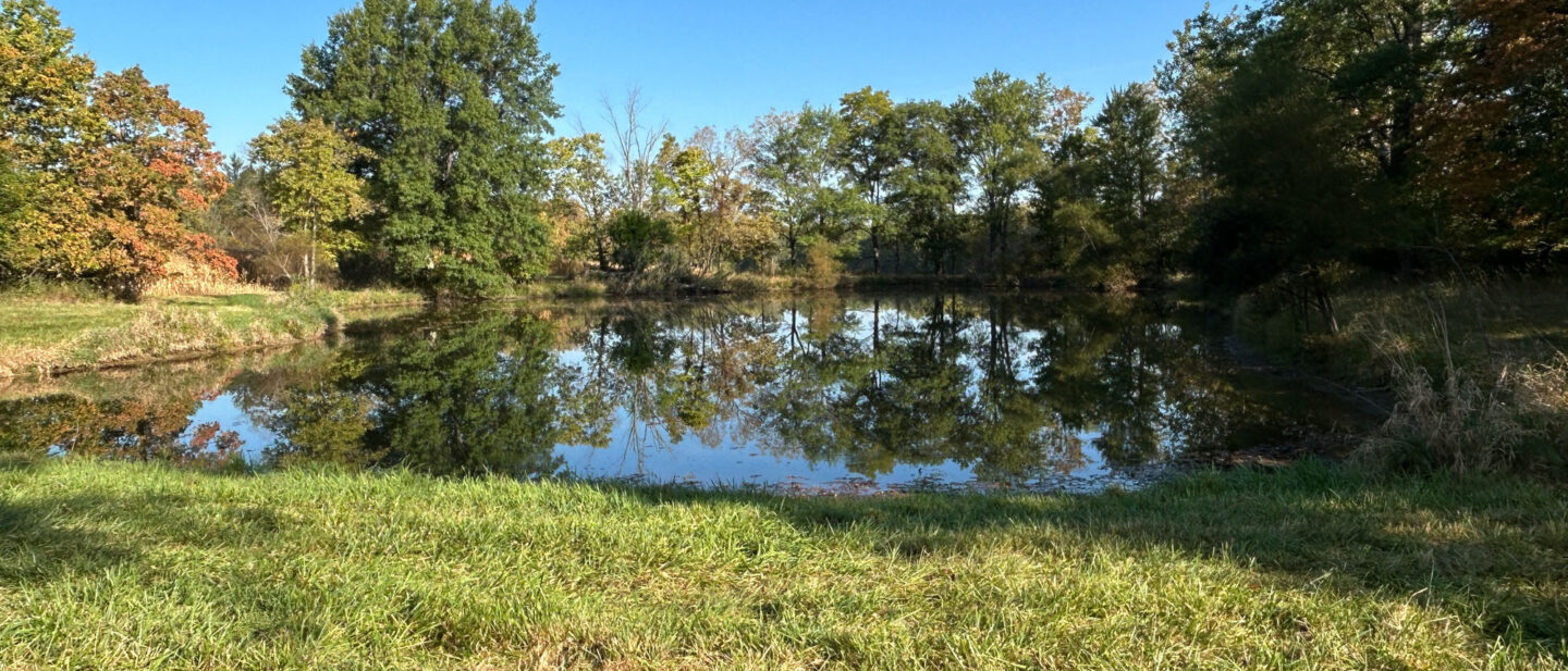 Pond