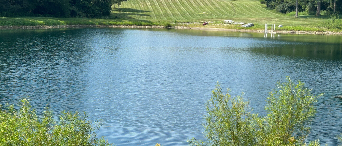 Pond