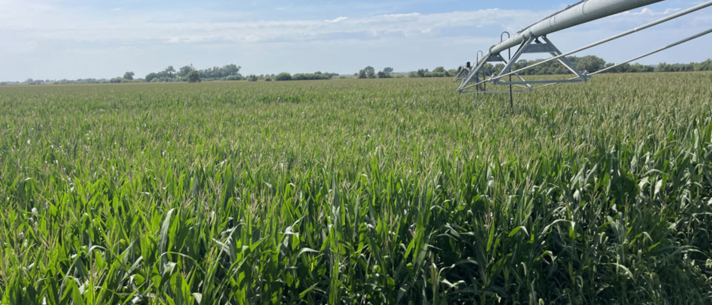 Productive Irrigated Corn Farm for Sale Saunders County Nebraska