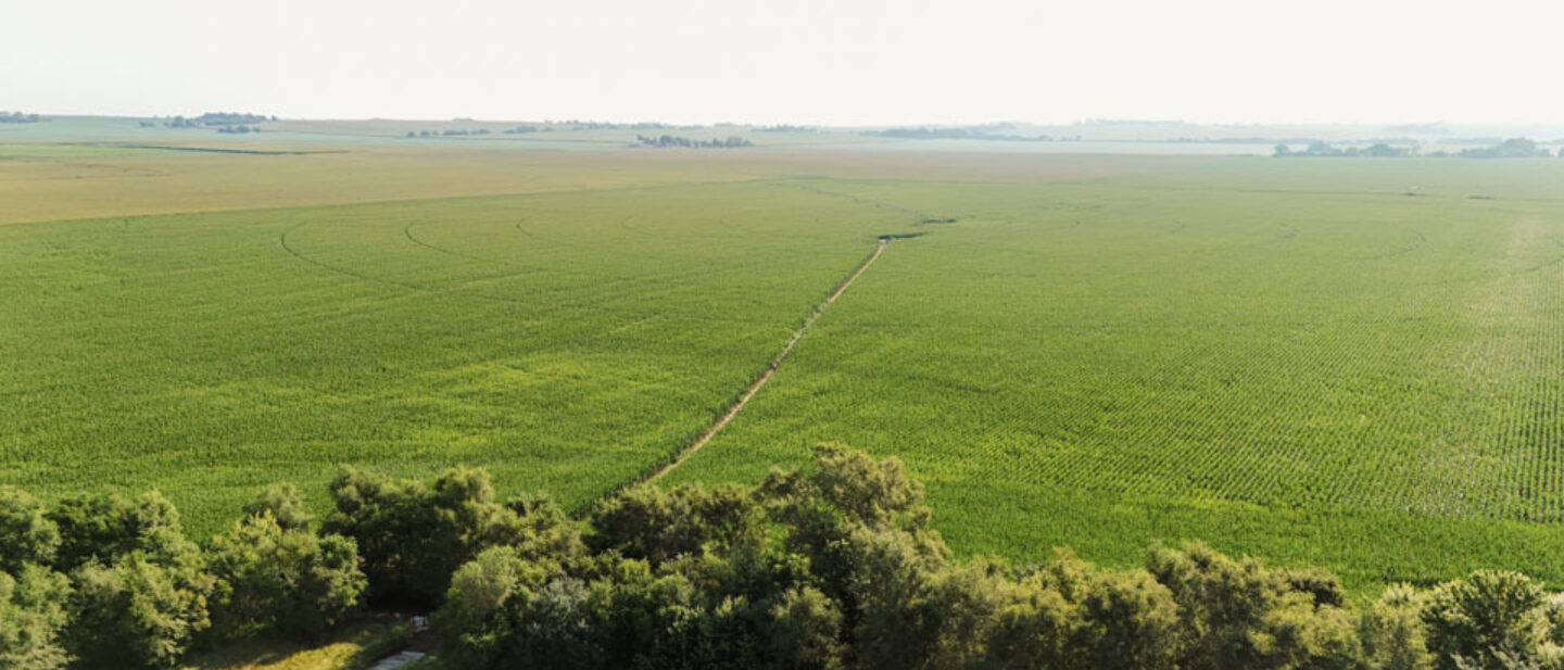 Productive Saunders County Nebraska Farm Auction