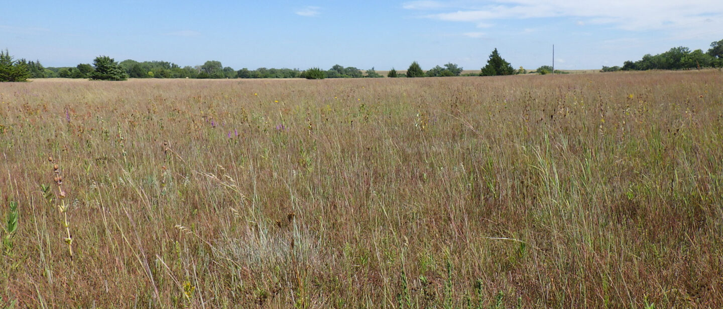 RIMG5847