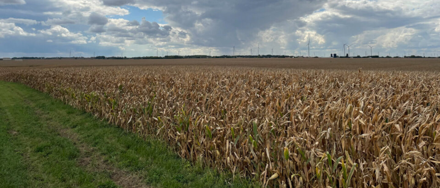 Roadside East End Tract 3 1