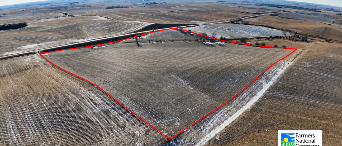 Rosalie Pic 1 outlined