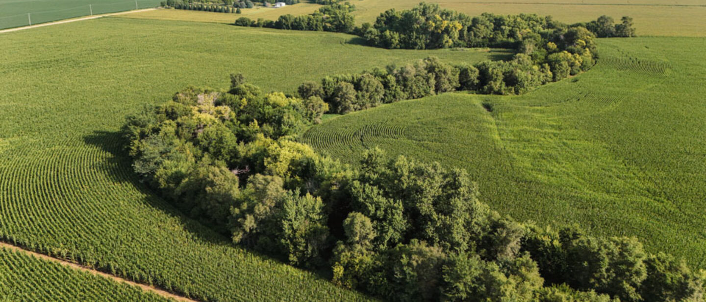 Saunders County Nebraska Farm Auction Rural Development Timber and Creek