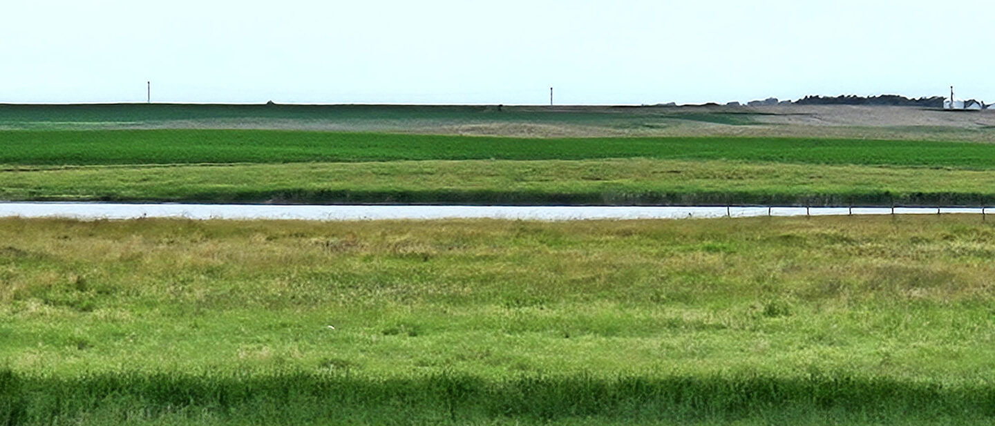 Schaeffer pasture