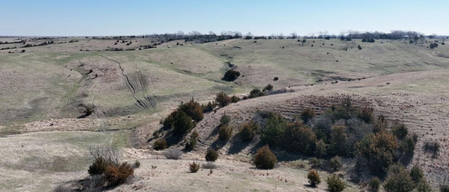 Screenshot 2026 04 17 at 10 43 31 AM