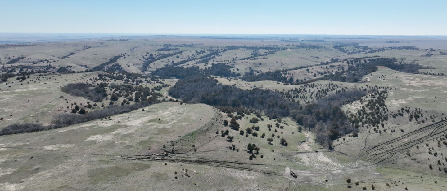 Screenshot 2026 04 17 at 9 15 47 AM