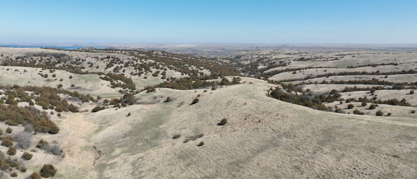 Screenshot 2026 04 17 at 9 21 10 AM