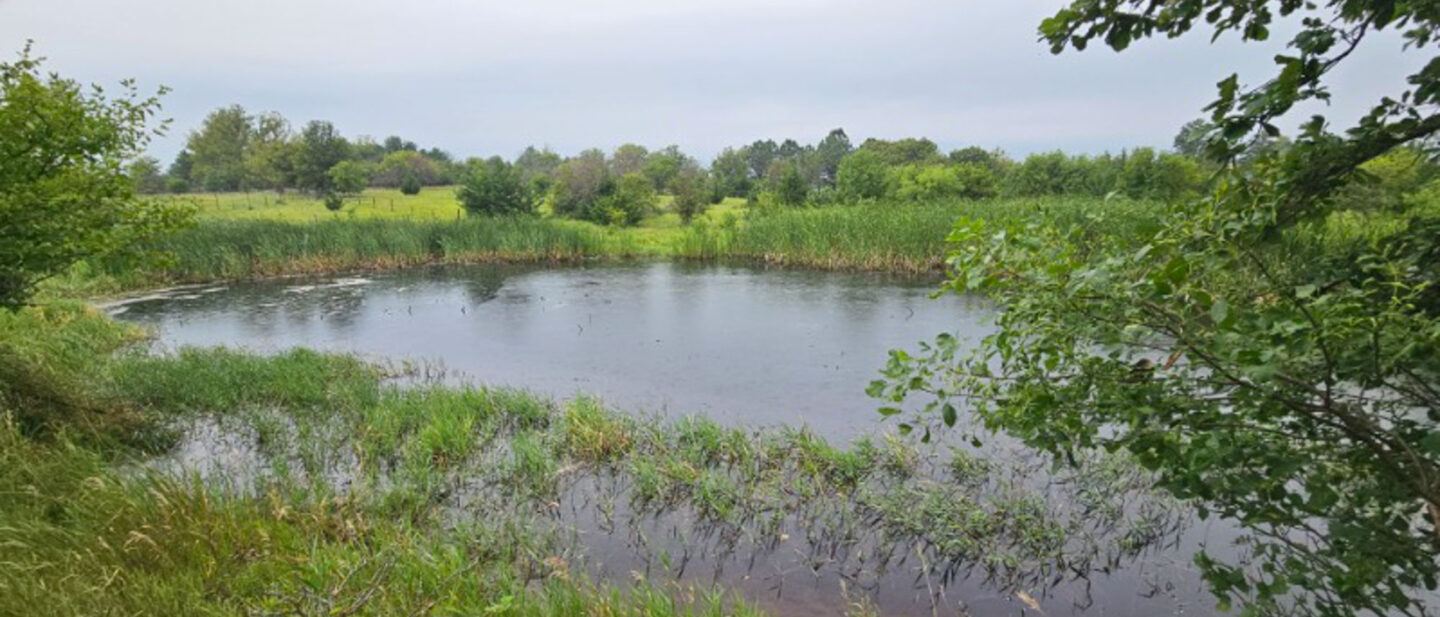 Small Pond