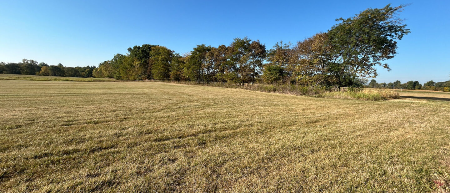 Sod west of creek
