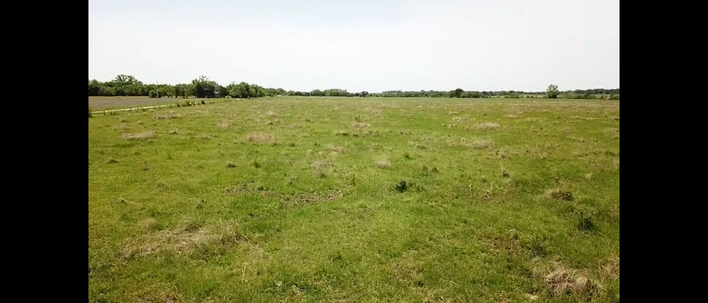 South Pasture