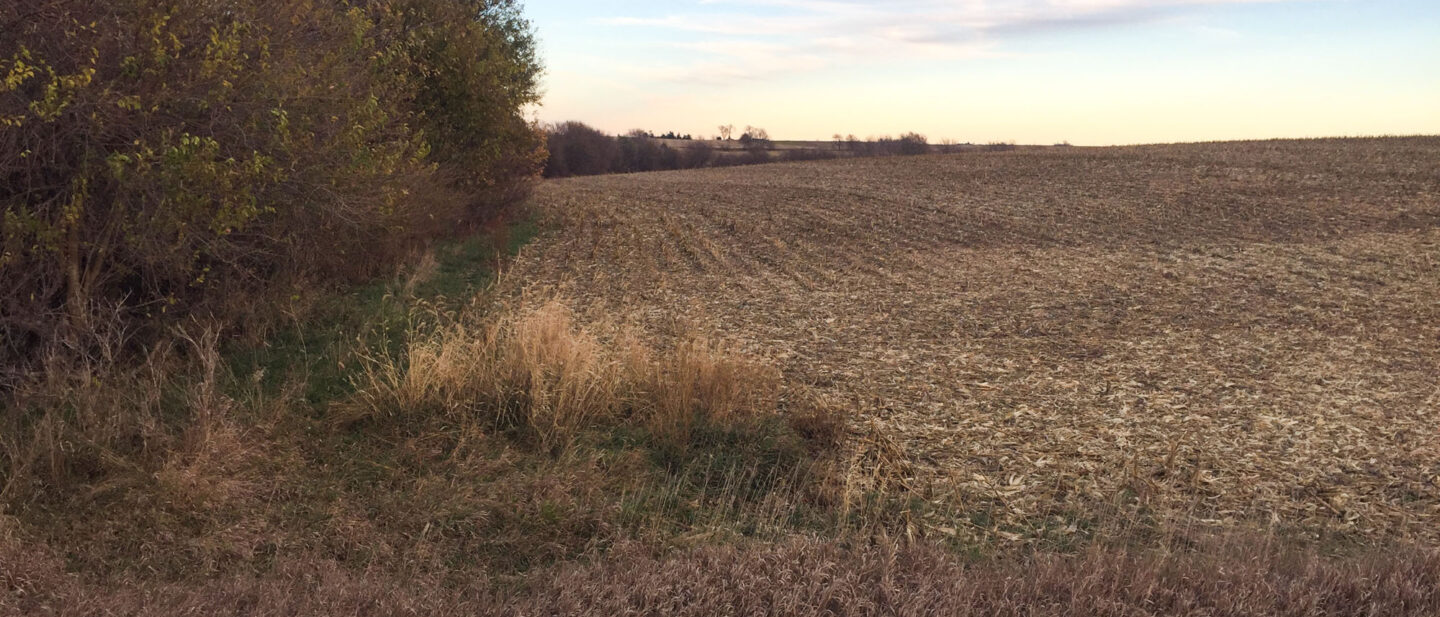 South side of the creek looking east WEB