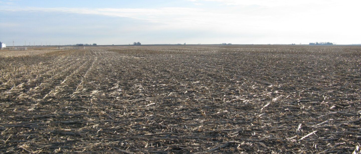 South view across field