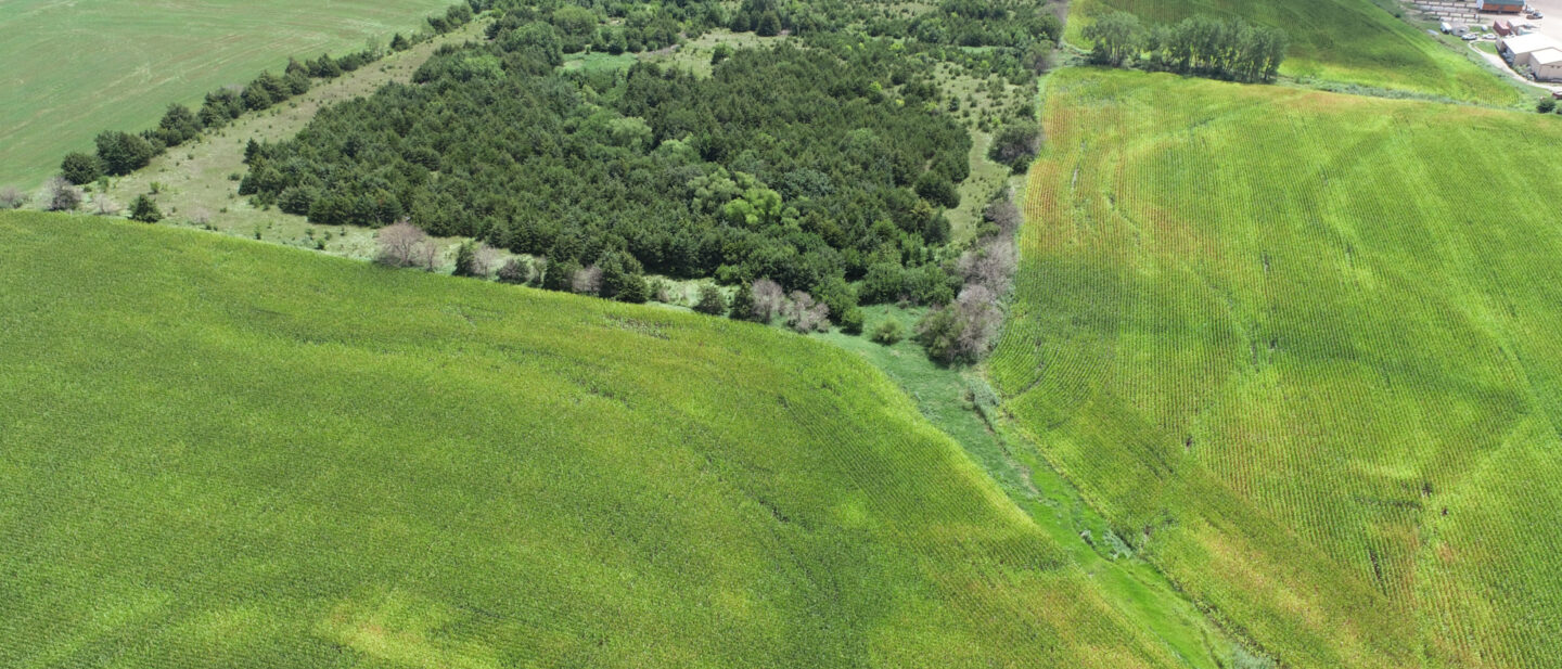 Southeast Corner and Pasture