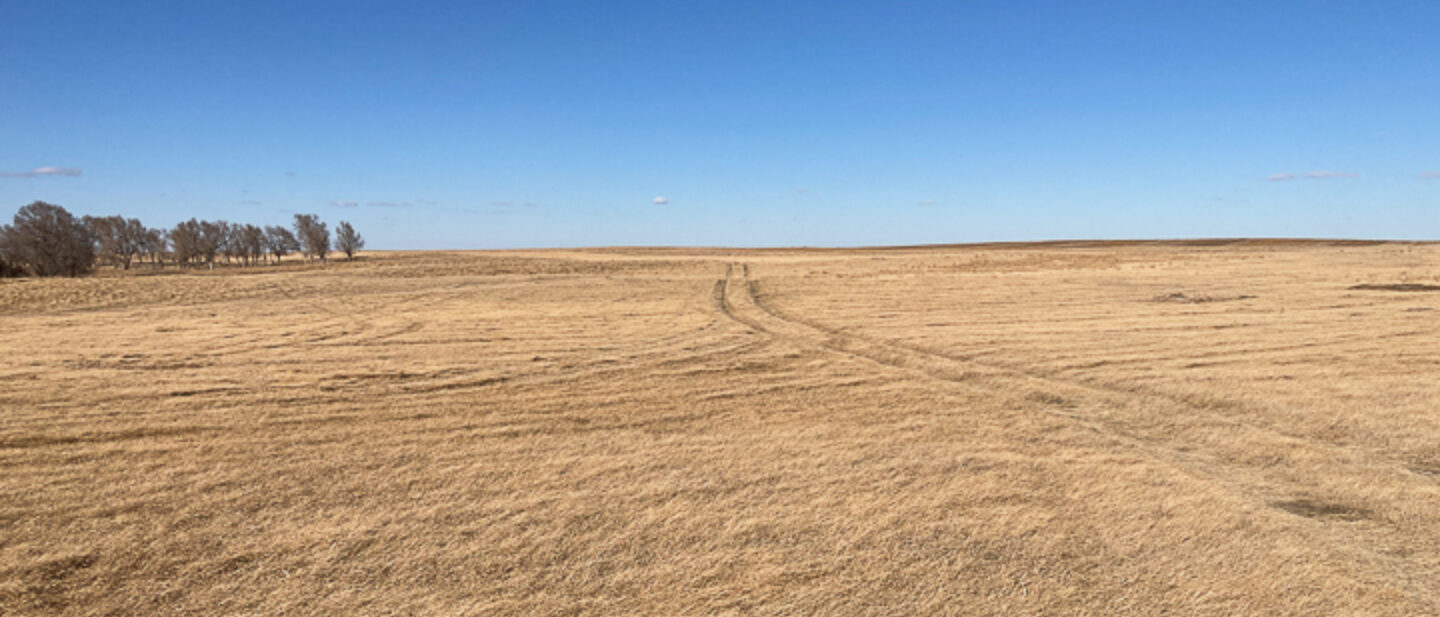 Southeast Hay Field