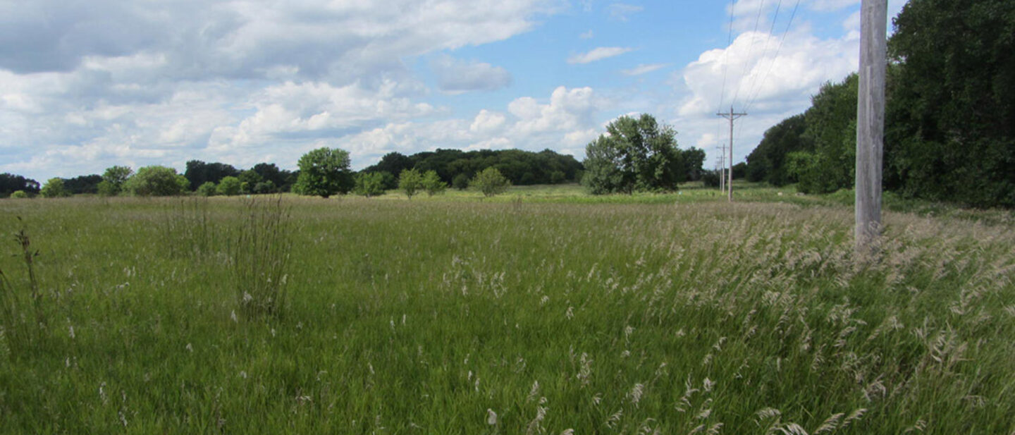 Southeast corner of CRP land to the North