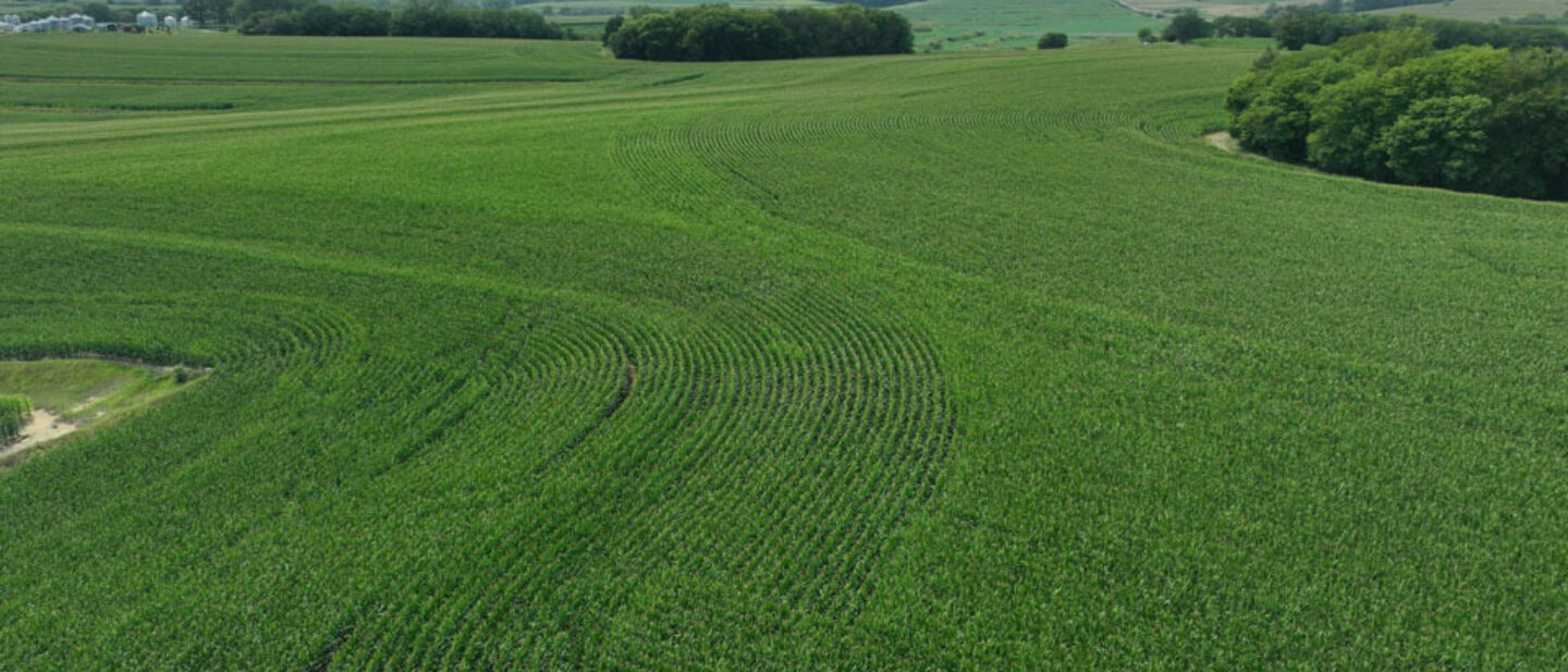 Southwest Iowa Farm For Sale Productive Corn Acres Drone Photo