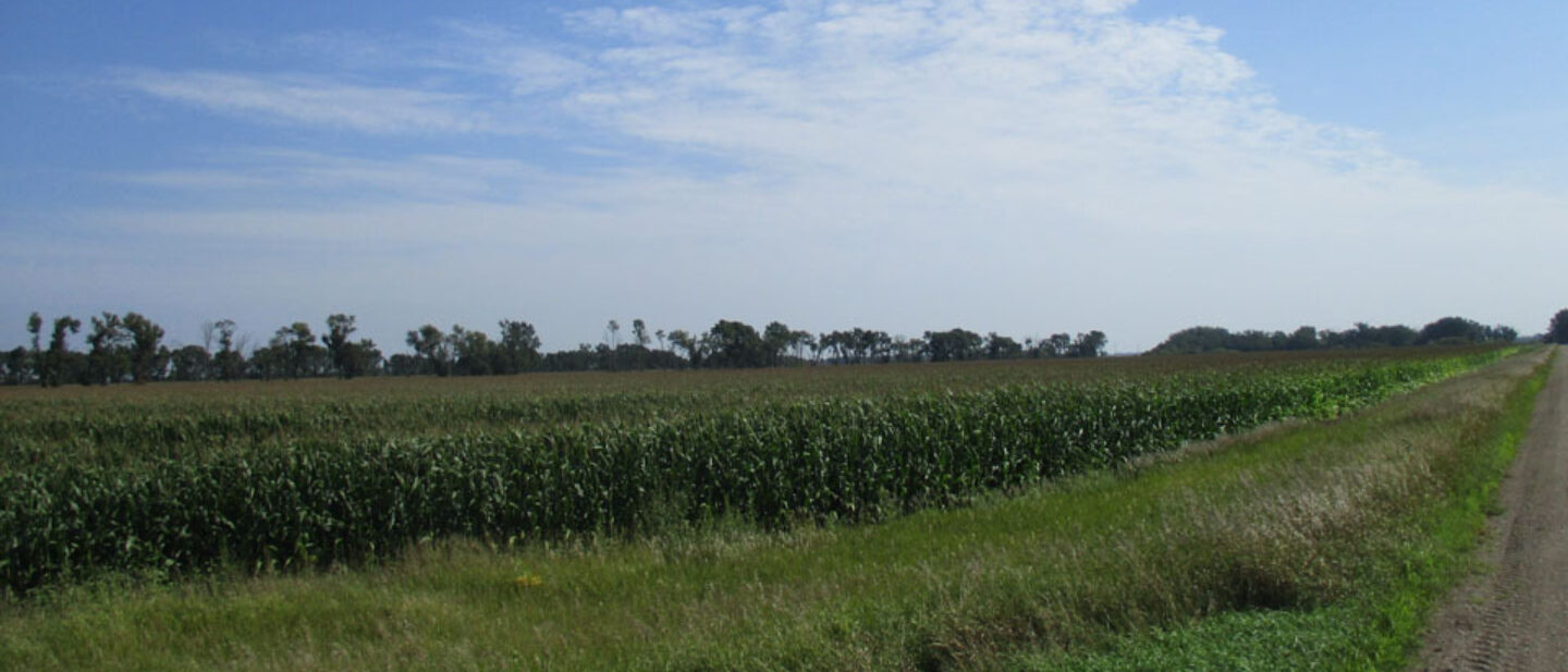 Southwest corner of farm 1