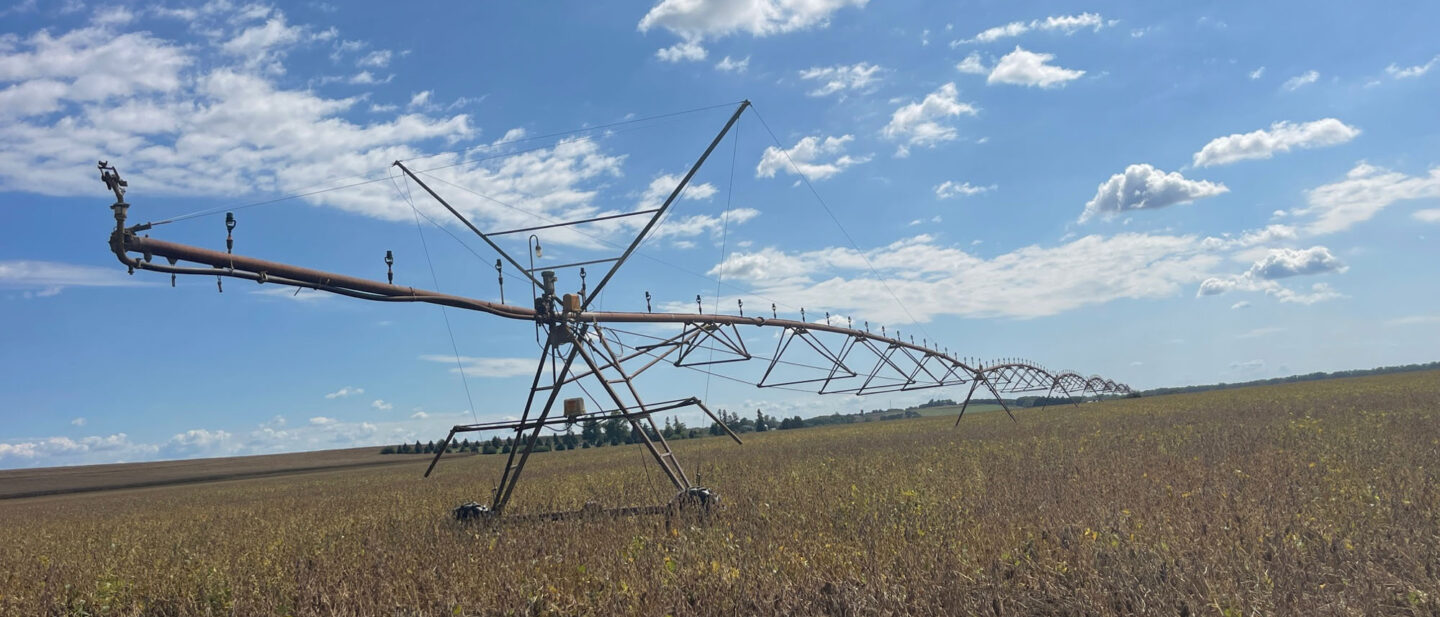 Soybeans tract 1