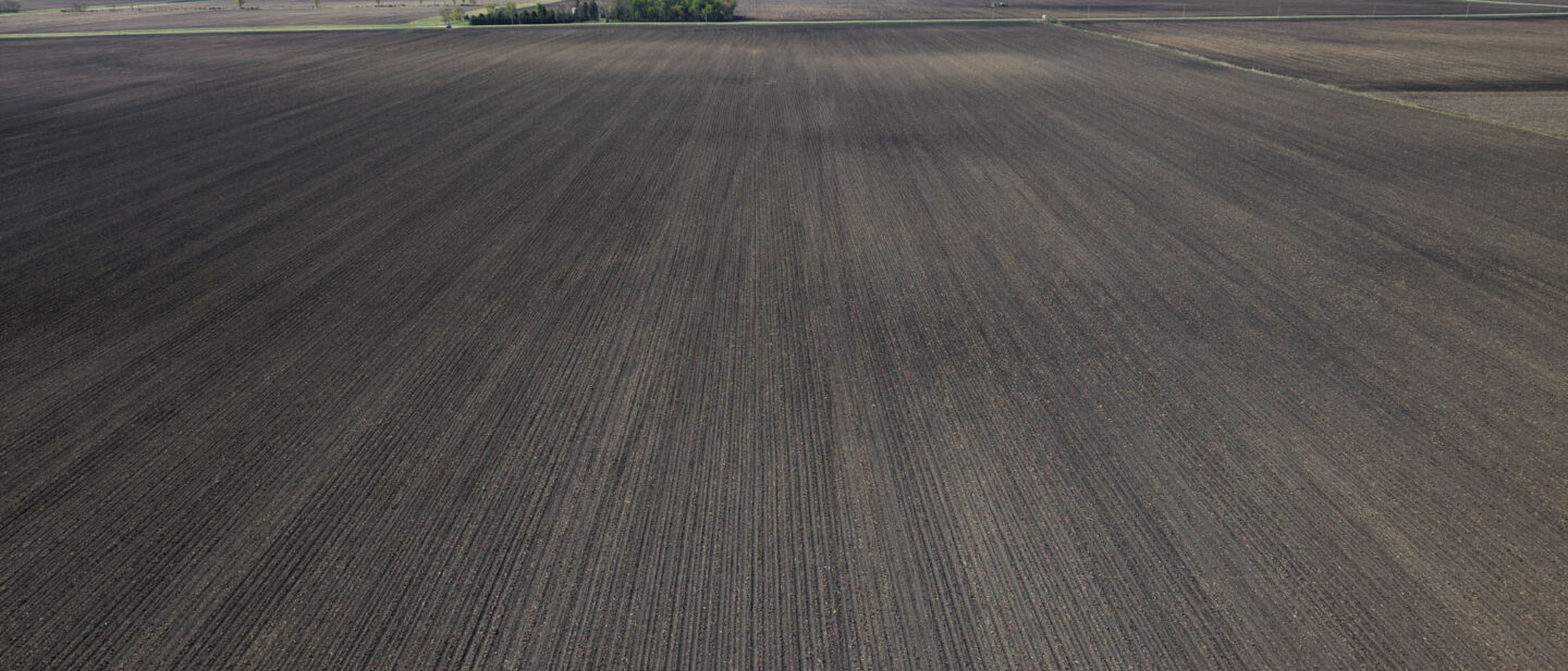Straight crop rows Iowa farmland