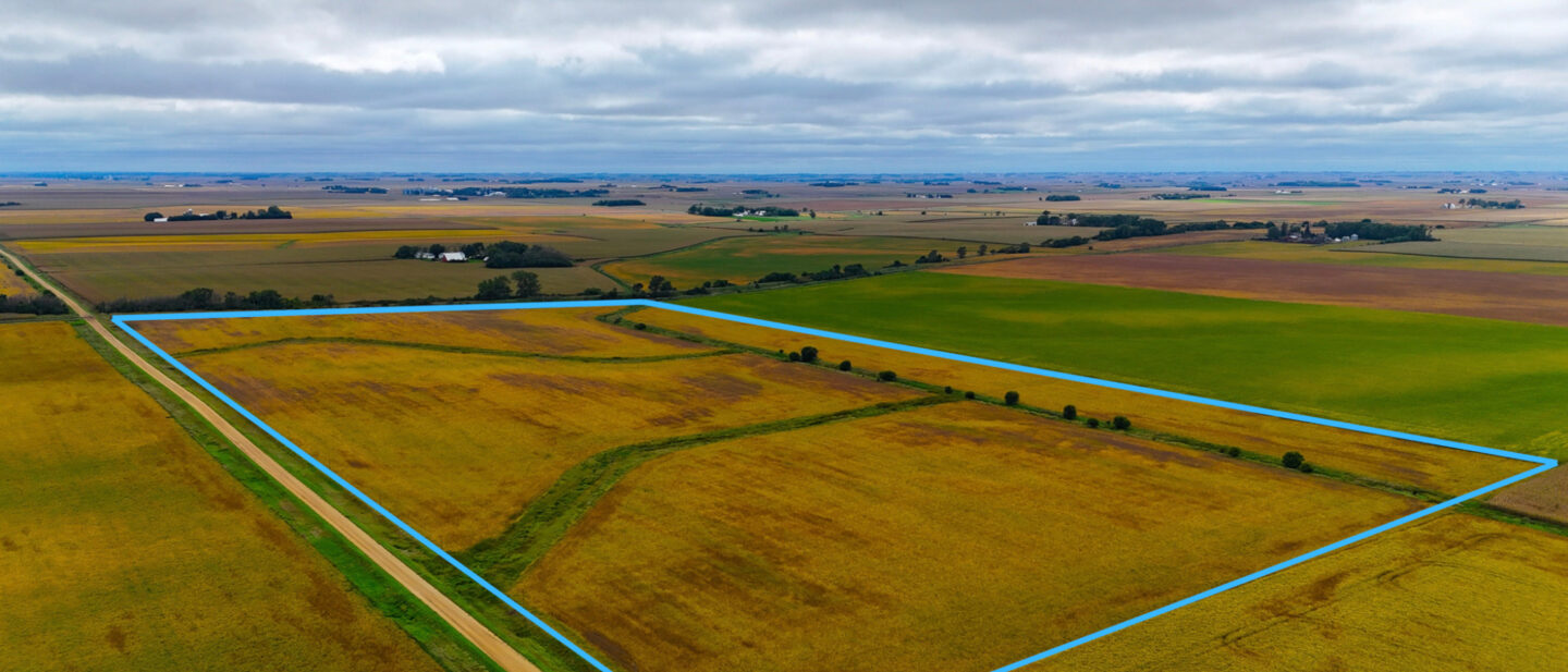 Sutherland 1 Boarder