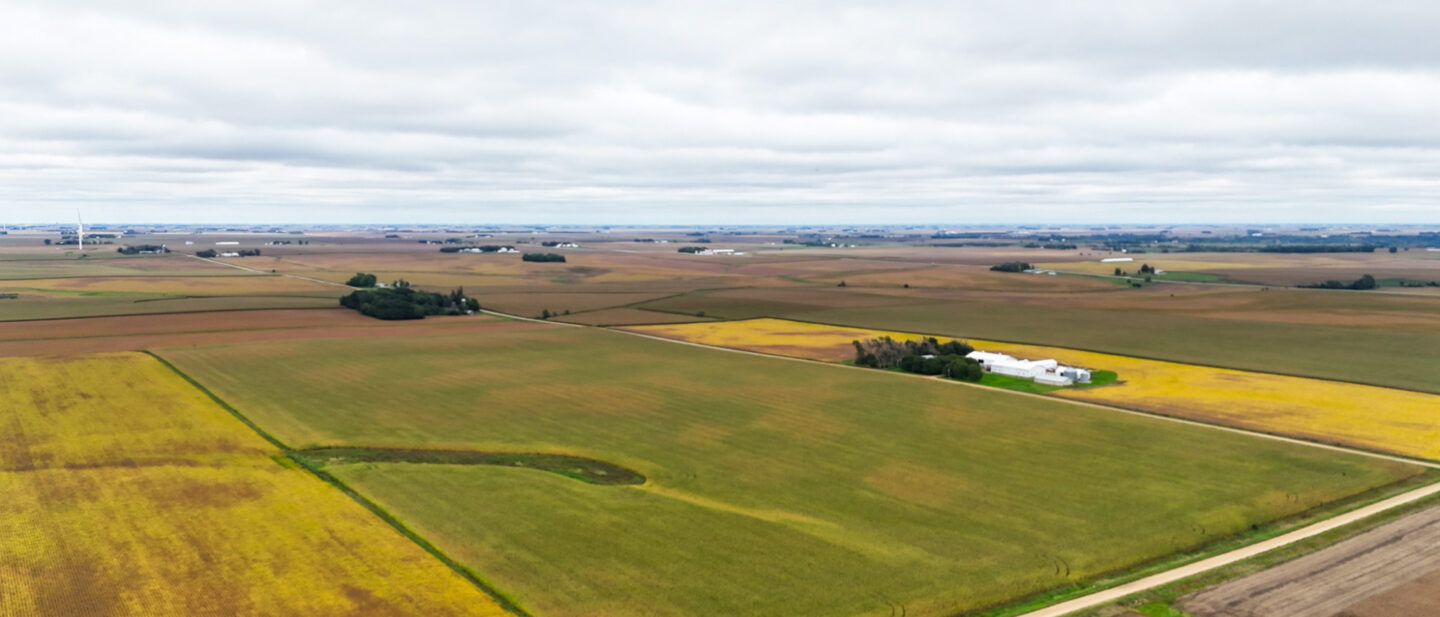 Sutherland Farm 2 1