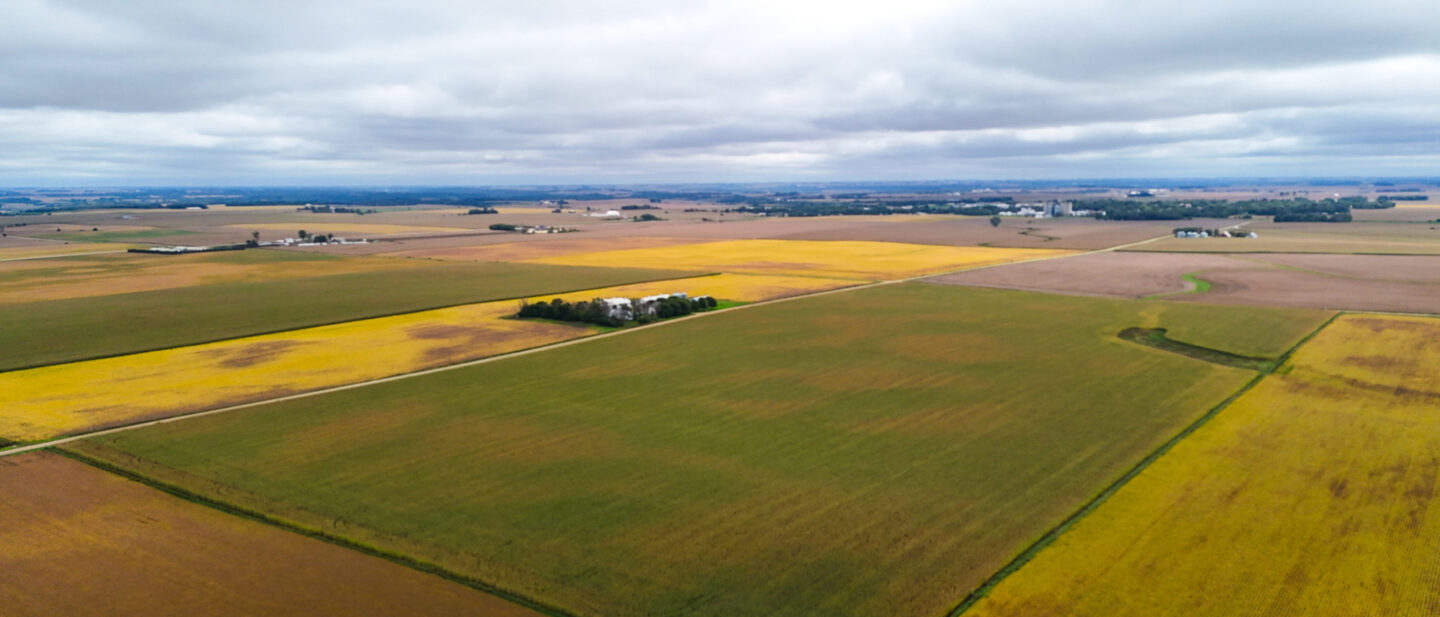 Sutherland Farm 2 4