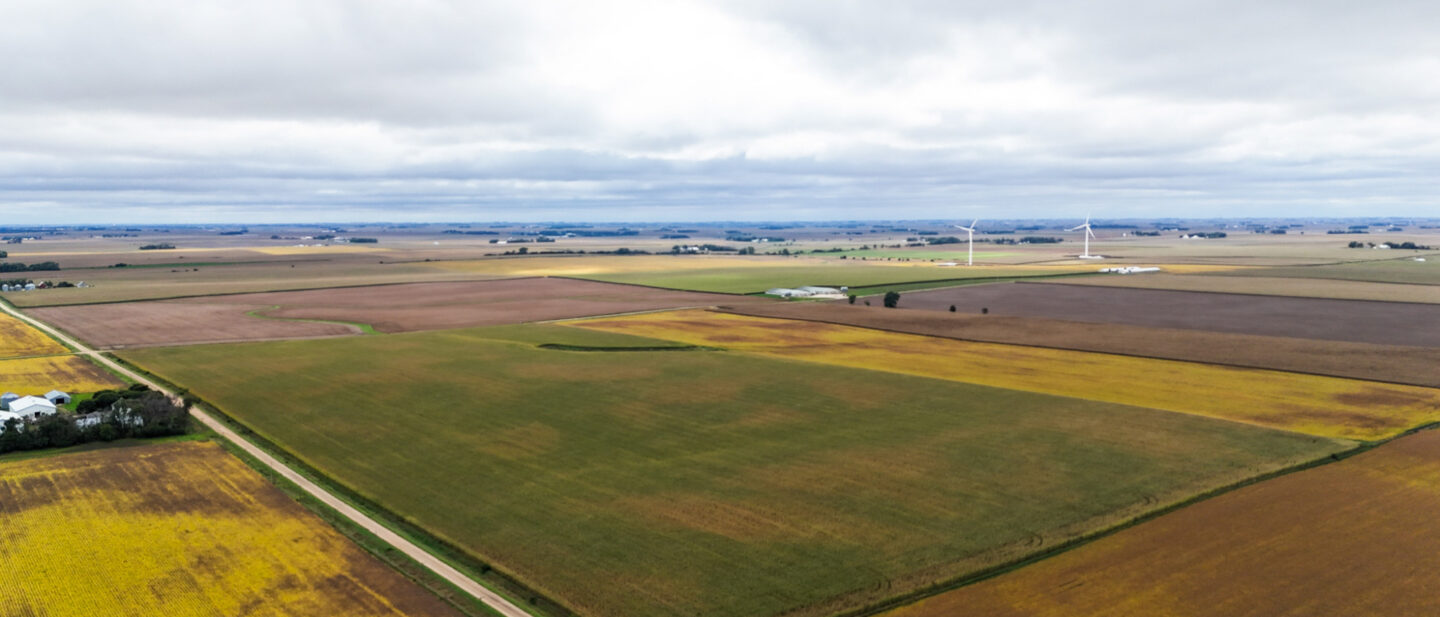 Sutherland Farm 2 5