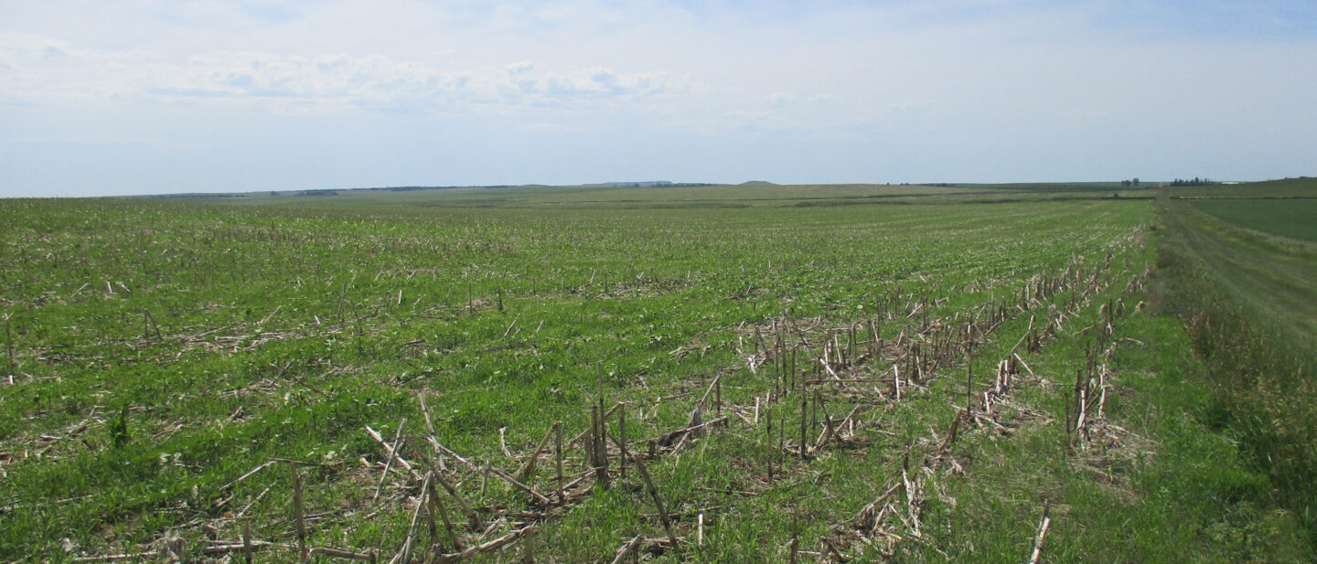 Swartz land sale 11