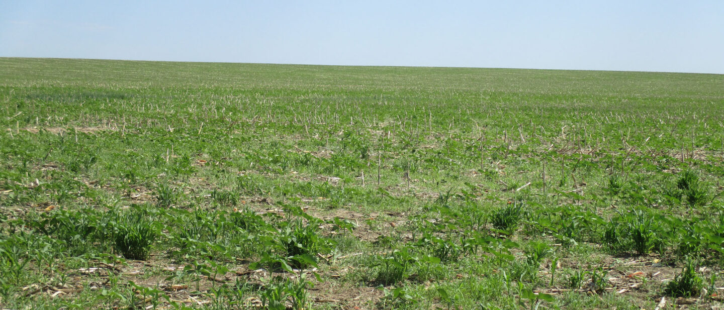 Swartz land sale 2