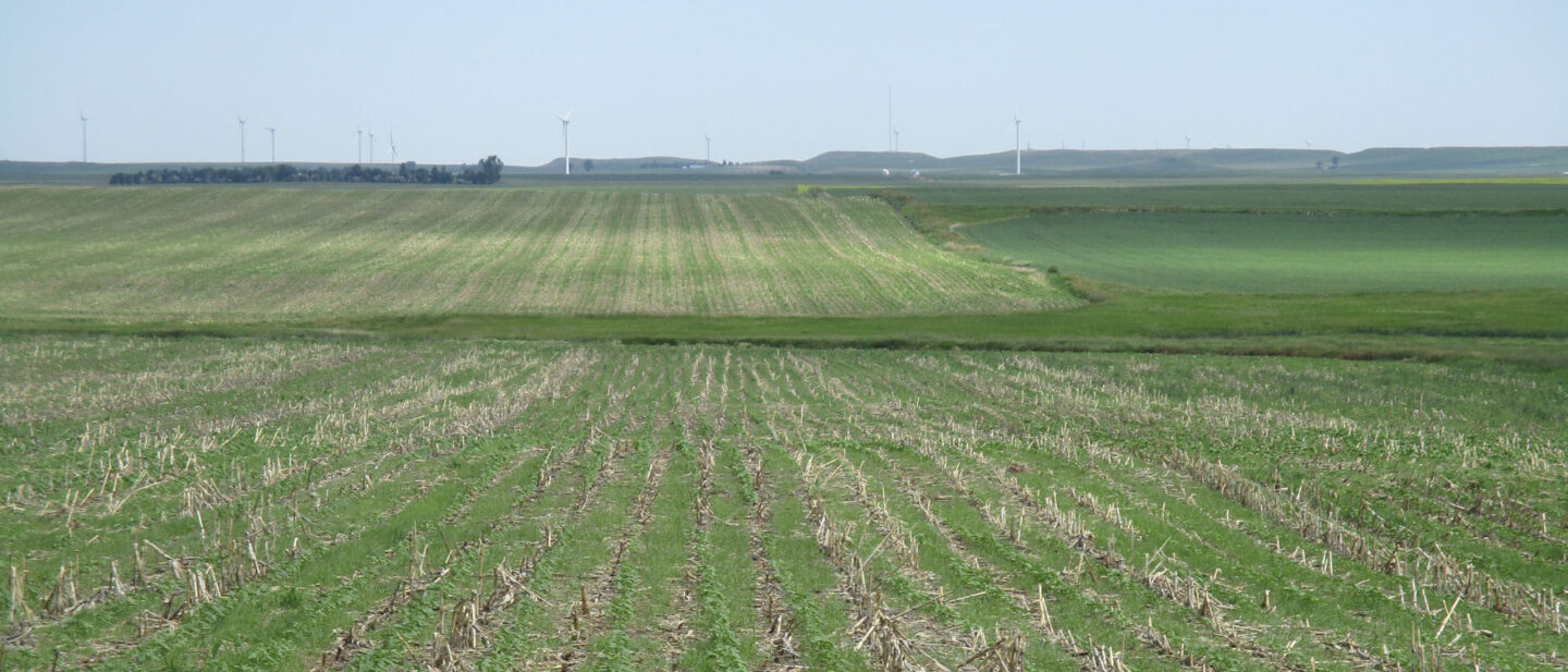 Swartz land sale 27